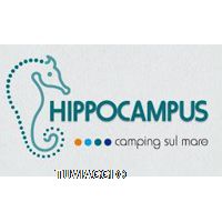 Camping Hippocampus